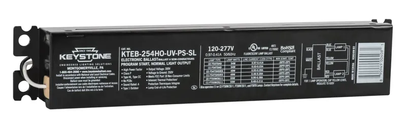 2xF54T5HO, 120-277V, Program Start, 9" Case, with integral leads