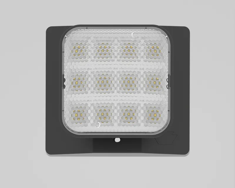 Emergency Light | Thermo Plastic | Remote Single Head | Style 1 | Black Color | 6500K Single Head | Surface Mount | Low Voltage Input