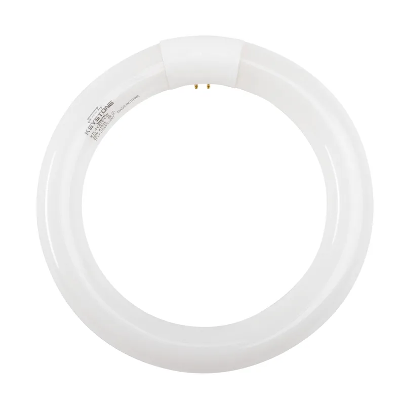 FC8T9, 4100K, 60 CRI, Circline Lamps, 12 pcs per carton