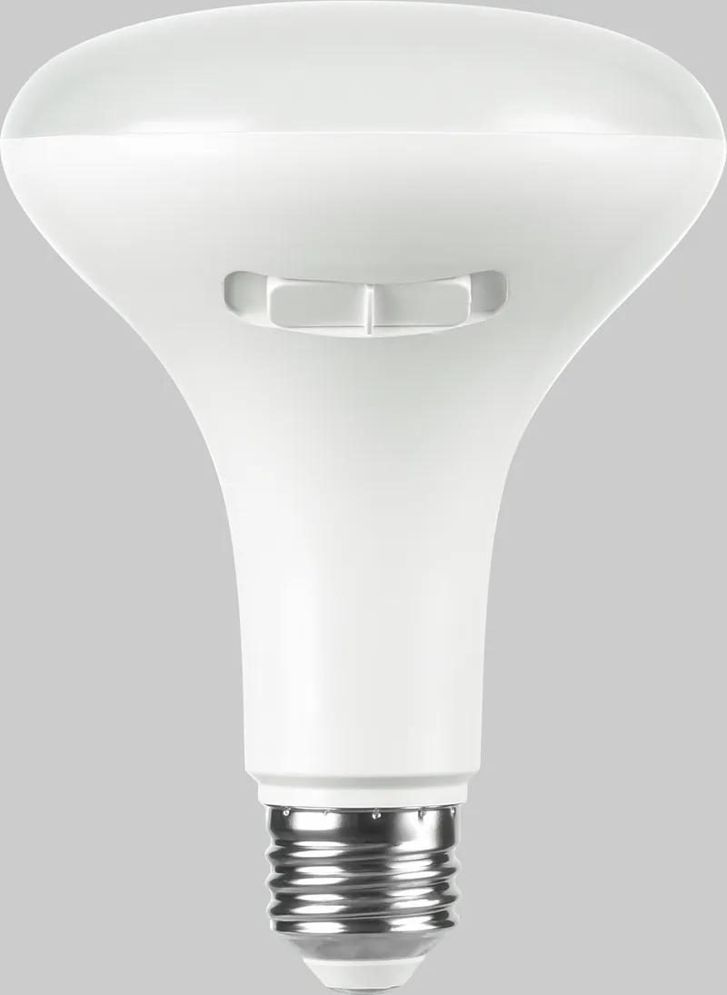 General Purpose LED Lamps – BR
