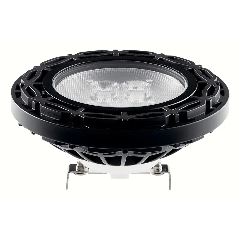 Landscape LED 12 10.00 watt Black Landscape 12V LED Lamps