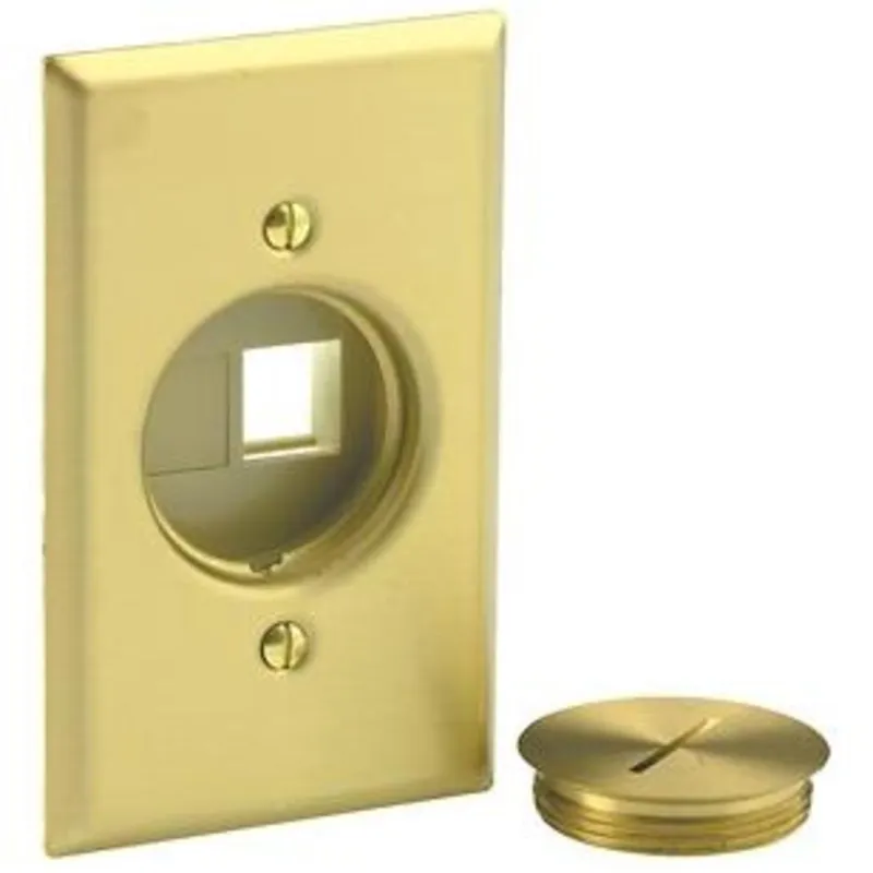 Floor Box Cover, Metallic, 1-Gang, Device Type: Data Port, Brass