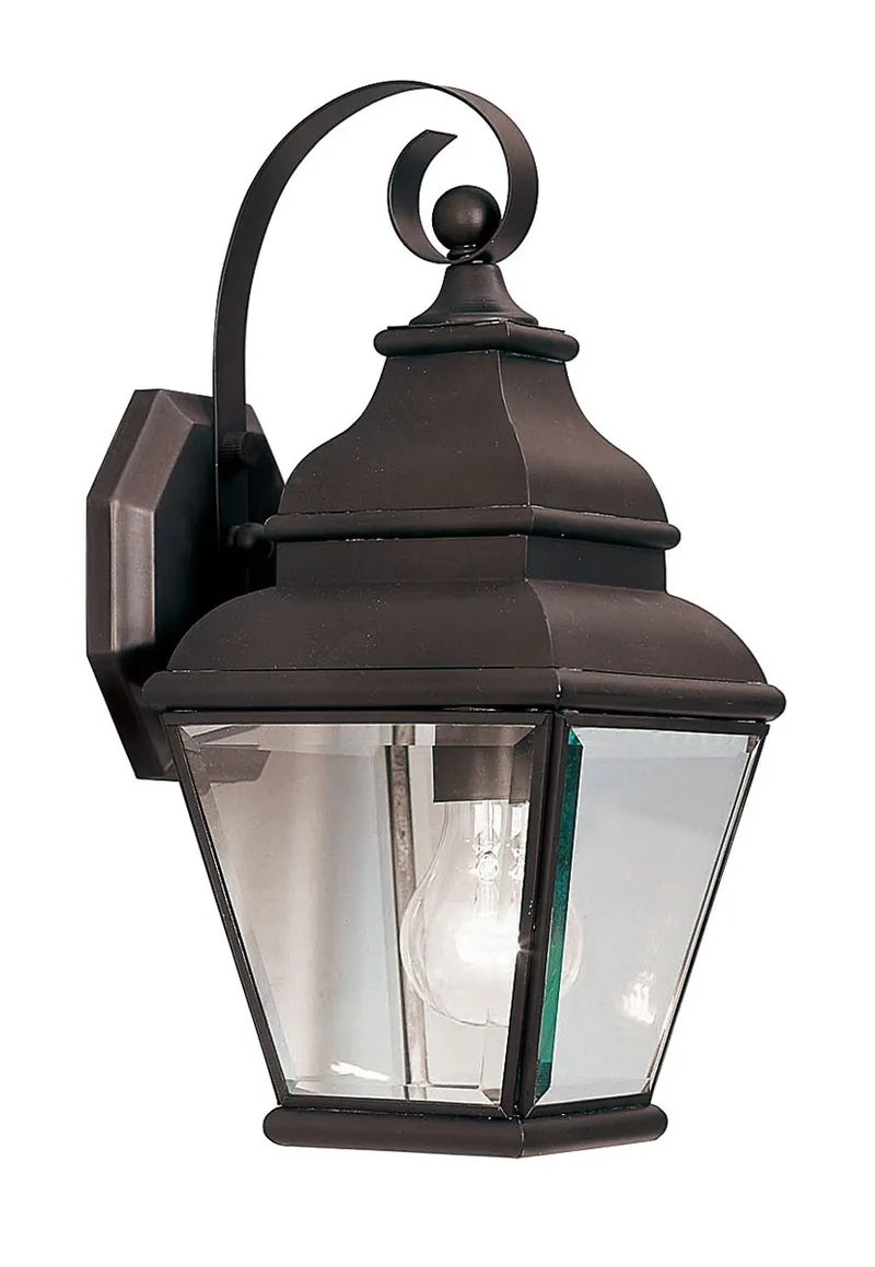 Exeter 1 Light 15.5 inch Bronze Small Outdoor Wall Lantern