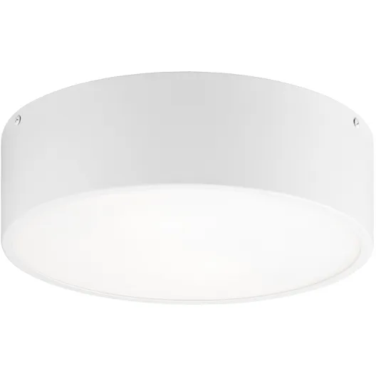 Snare 2 Light 12 inch White Flush Mount Ceiling Light