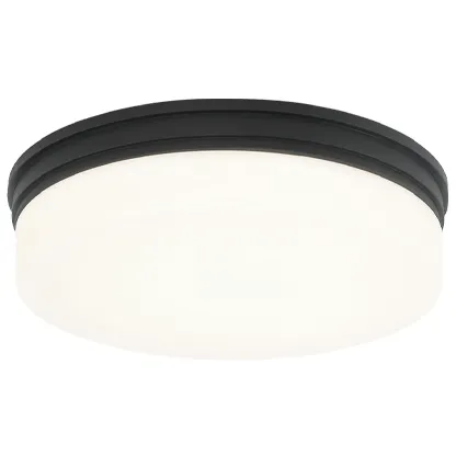 Circian LED 12 inch Matte Black Flush Mount Ceiling Light