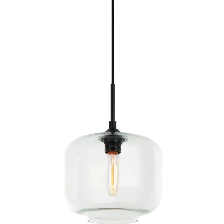 Irresistible Organic Charm 1 Light 9.88 inch Clear Pendant Ceiling Light