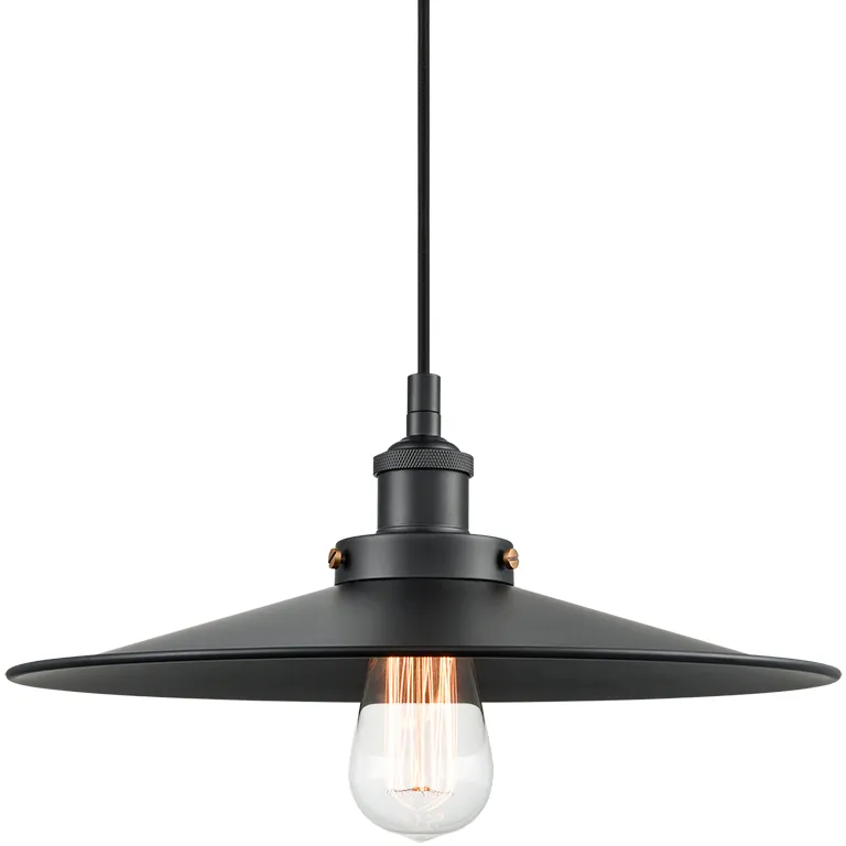 Bulstrode's Workshop 1 Light 14 inch Black Pendant Ceiling Light in Black and Black