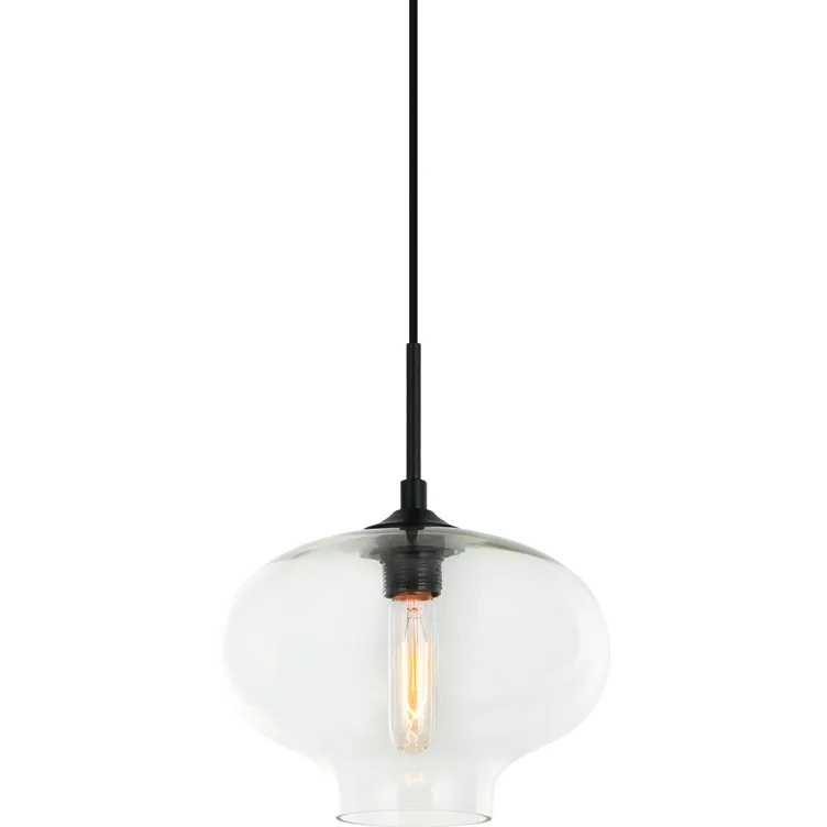 Irresistible Organic Charm 1 Light 11 inch Clear Pendant Ceiling Light