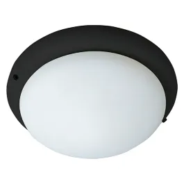 Maxim Lighting 1-Light Ceiling Fan Light Kit - Black