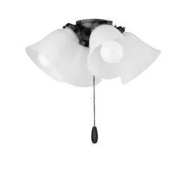 Maxim Lighting 4-Light Ceiling Fan Light Kit - 120V - Black