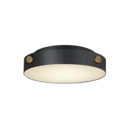 Maxim Lighting Rivet VX LED Flush Mount - 3000K - 120V - Black / Antique Brass