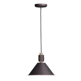 Maxim Lighting Tucson 11" 1-Light Pendant - 120V - Oil Rubbed Bronze / Weathered Wood