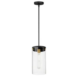 Maxim Lighting Pinn Large Single Pendant - 120V - Black / Satin Brass