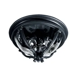 Maxim Lighting Camden 3-Light Outdoor Ceiling Mount - 120V - Black