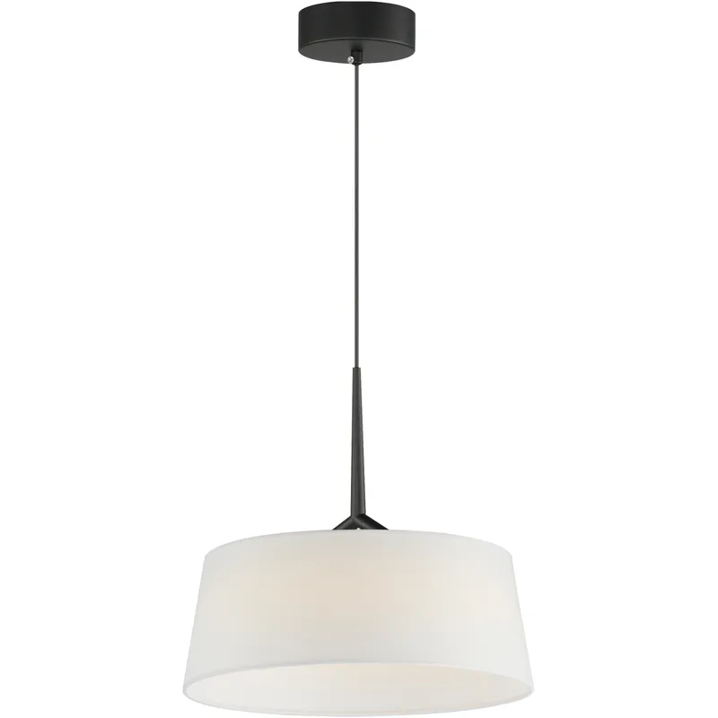Paramount LED 16 inch Black Single Pendant Ceiling Light