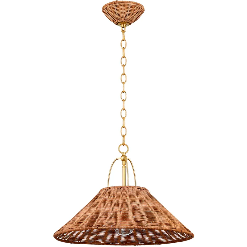 Davida 1 Light 20 inch Aged Brass Pendant Ceiling Light
