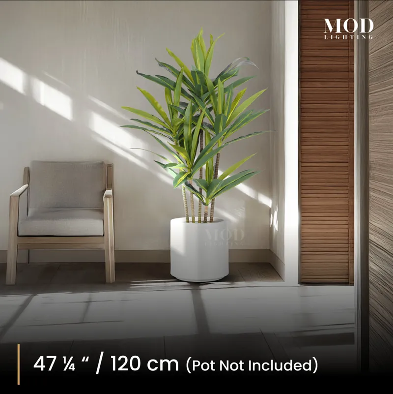 MOD Lighting Dracaena