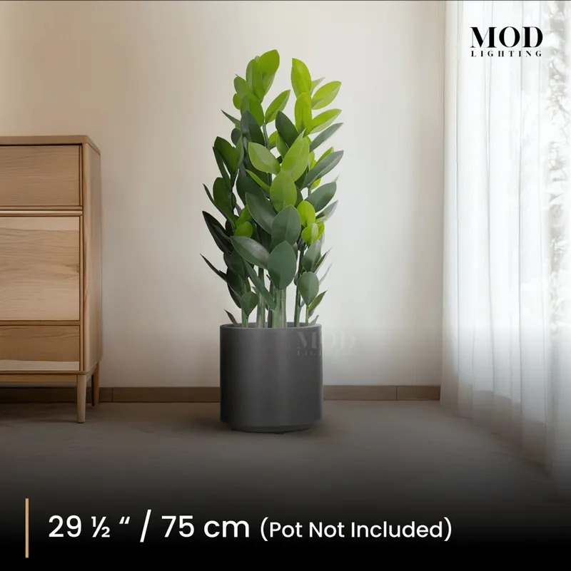 MOD Lighting ZZ Plant