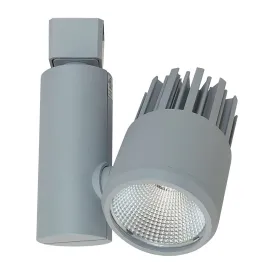Nora Lighting Aiden LED Track Head - 15W - 3000K - 1,150 Lumens - 19º to 40º - Halo Adapter - Silver - 120V