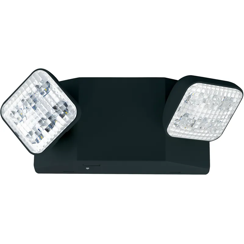 Aaliyah 1 Light Black Exit / Emergency Ceiling Light