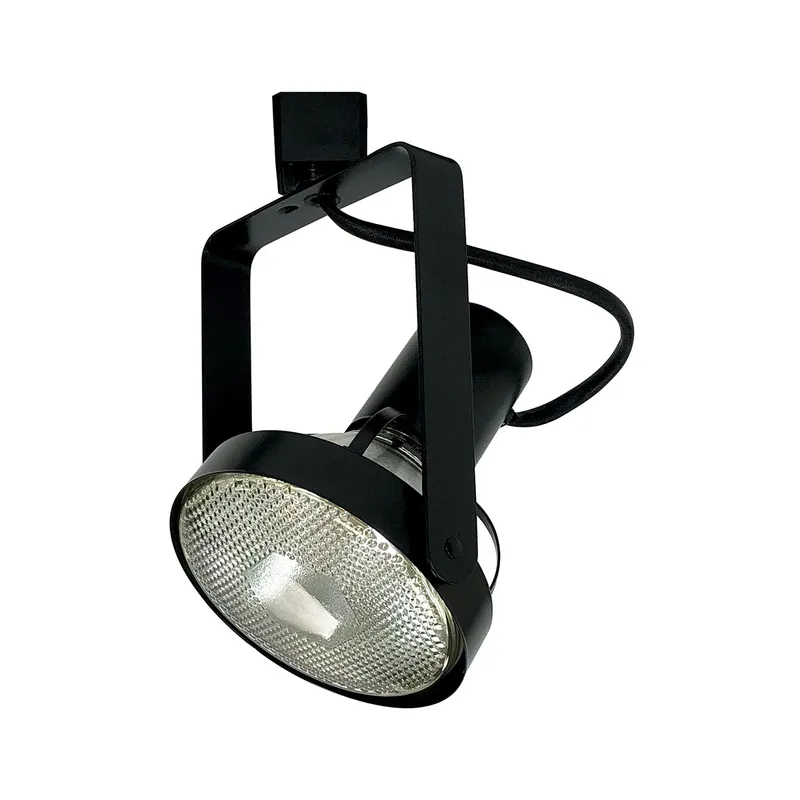 Aaliyah 1 Light Black Track Head Ceiling Light in H-Style
