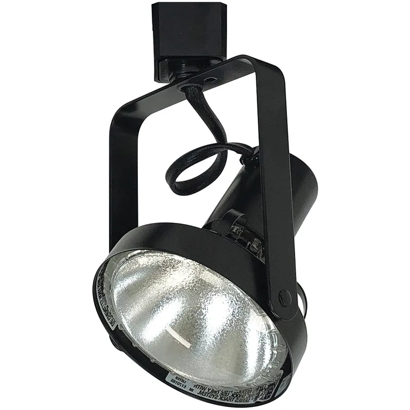 Aaliyah 1 Light Black Track Ceiling Light
