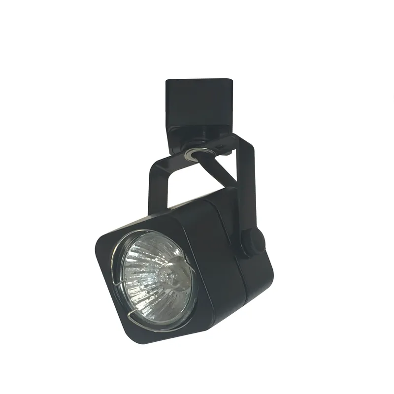 Aaliyah 1 Light Black Track Ceiling Light in H-Style