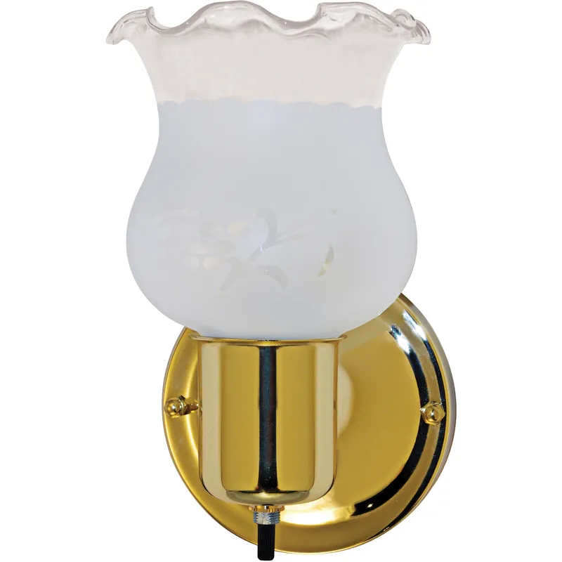 Brentwood 1 Light 5 inch Polished Brass and Frosted Grape Vanity Light Wall Light