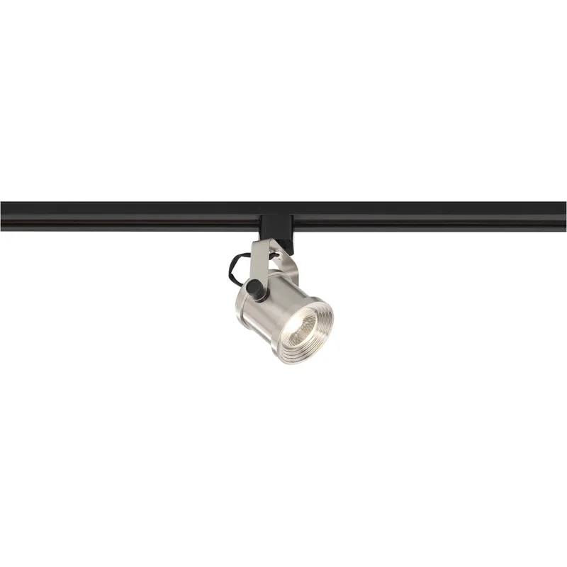 Forged 120 Brushed Nickel Track Head Ceiling Light