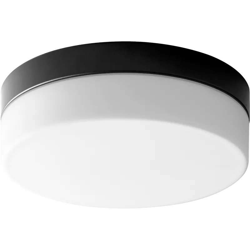 Zuri 1 Light 11.25 inch Black Flush Mount Ceiling Light