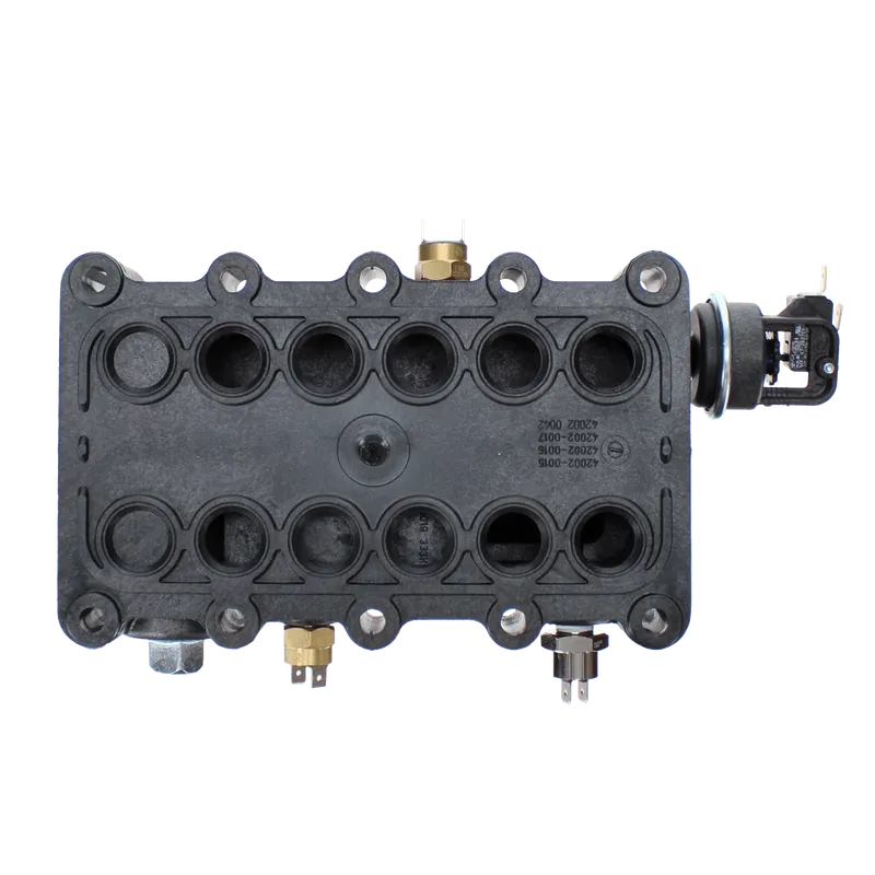 Pentair 77707-0015 Manifold Kit 333K for Sta-Rite Max-E-Therm Pool Heaters