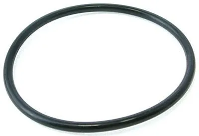 Pentair 59000600z Bulkhead O-ring Fns Plus De Filter