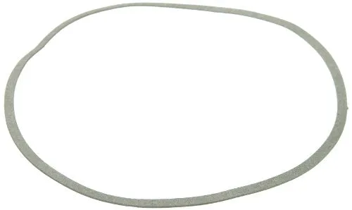 Pentair C20-122 Gasket Replacement Pool and Spa Pump