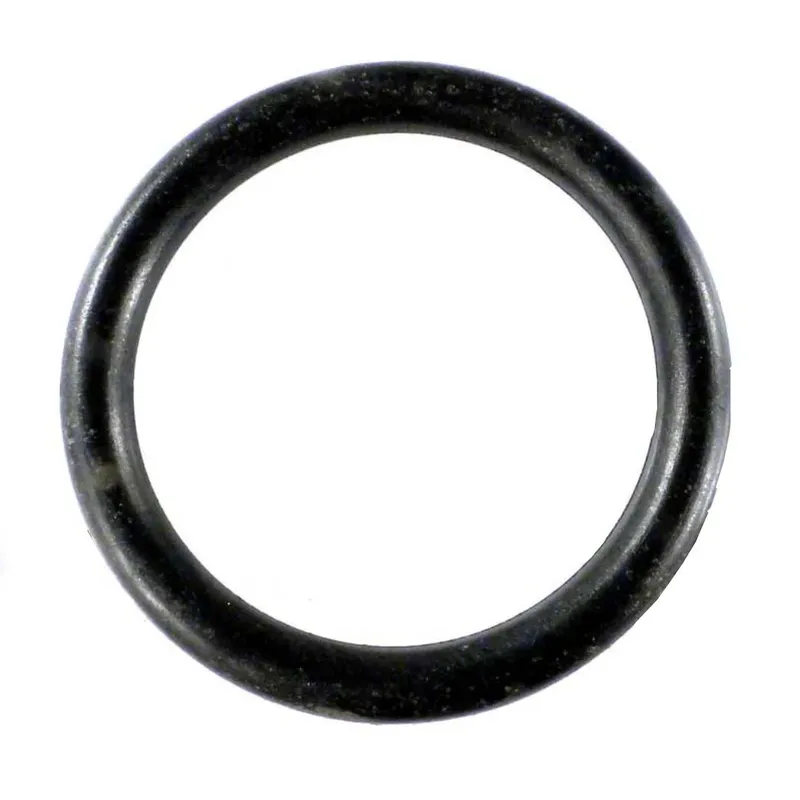 Pentair 192040 Sand Filter Drain O-Ring