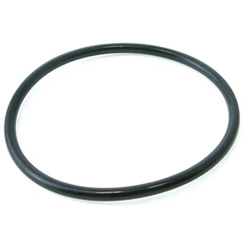 Pentair 154005Z Triton C-3 Sand Filter O-Ring