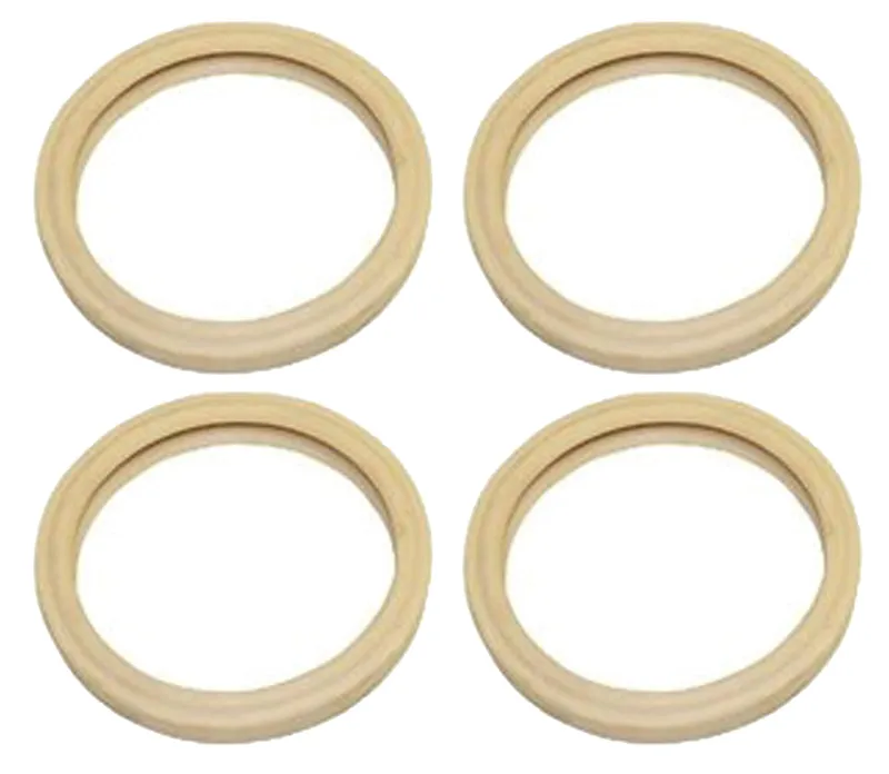 Pentair 79108500 Gasket For 4 Inch Diameter Lens