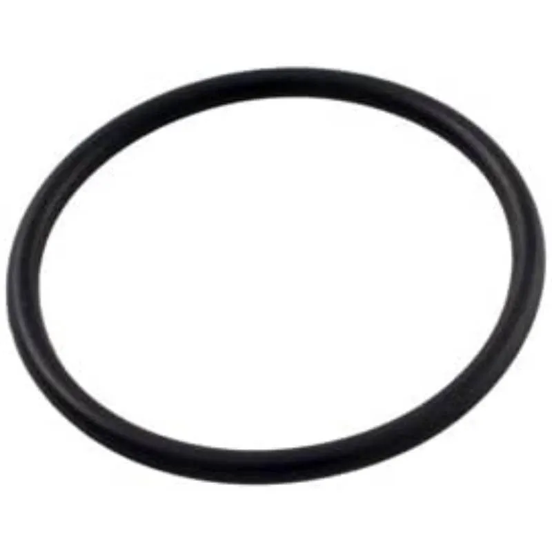 PENTAIR R172319Z Rainbow 320 Inline Chlorinator Bottom O-Ring