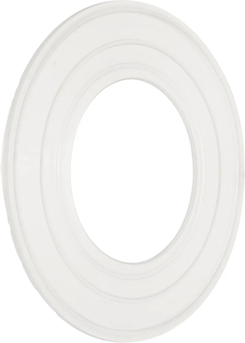 Pentair 79116800 Gasket Replacement Pool and Spa Light