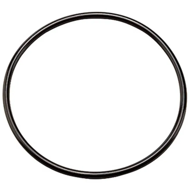Pentair 152032 W10-OR Buna-N O-ring for 1 inches & 1-1/2 inches Opaque Heavy-Duty Housings