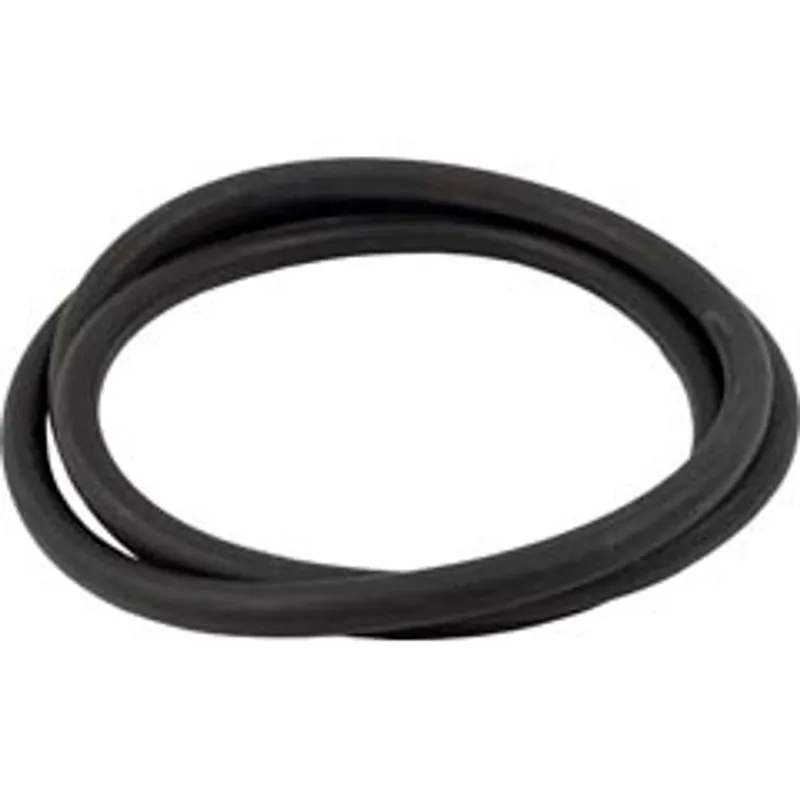 Pentair 24850-0009Z Pool Filter O-Ring - 25 Inch