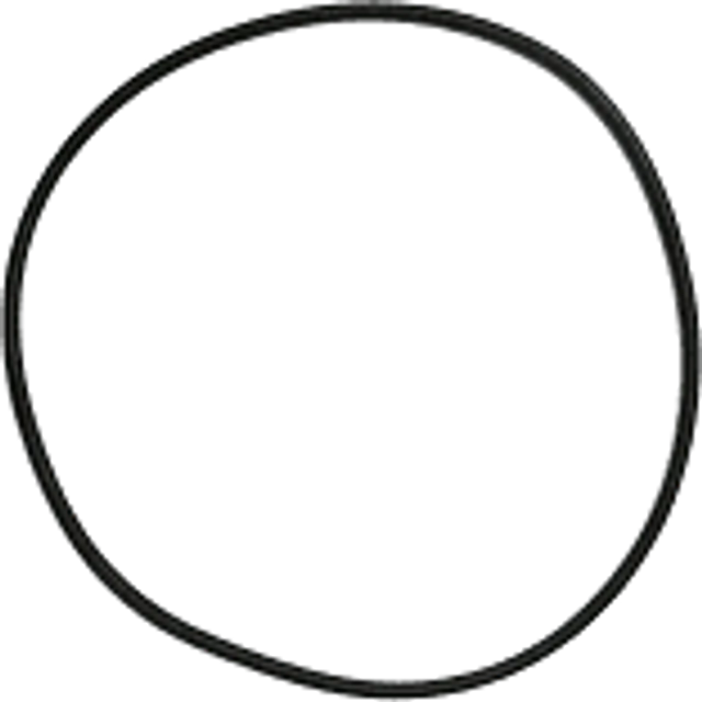 Pentair 24850-0008Z O-Ring Replacement for StaRite System 3 S7 Models