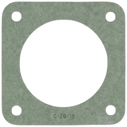 Pentair C20-19 Sta-Rite Trap Gasket for Pool and Spa Pumps