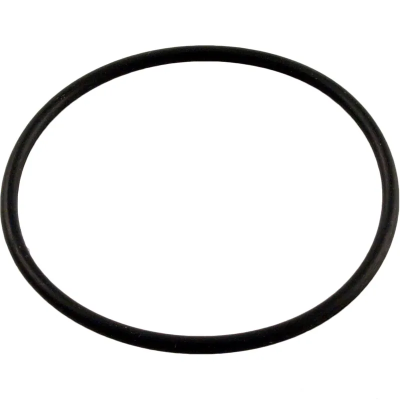 Pentair 192323Z 2-inch Skimmer Plug O-Ring