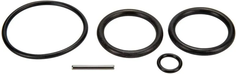 Pentair 263054 O-Ring Kit for Push/Pull Slide Valve
