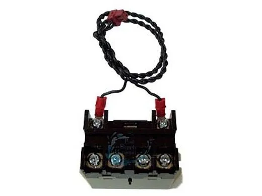 PENTAIR 520106 Relay DPST 3 HP IntelliTouch EasyTouch SunTouch