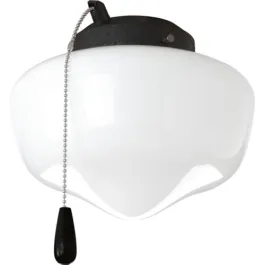 Progress Lighting AirPro 1-Light Ceiling Fan Light Kit - Forged Black