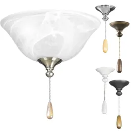 Progress Lighting AirPro 2-Light Ceiling Fan Light Kit