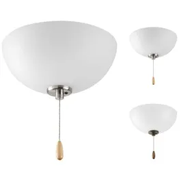 Progress Lighting Bravo 2-Light Ceiling Fan Light Kit