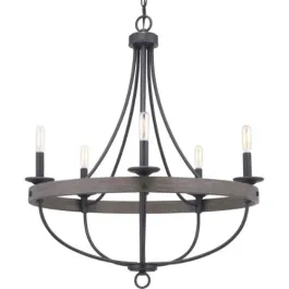 Progress Lighting Gulliver 26" 5-Light Chandelier - 120V - Graphite