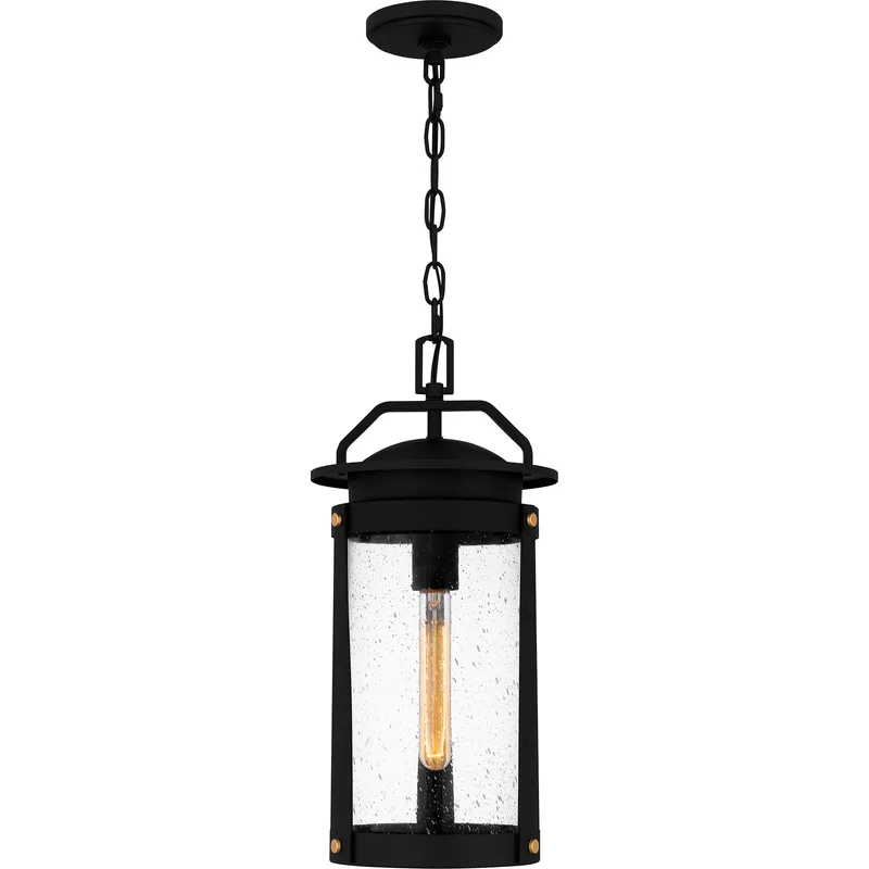 Clifton 1 Light 8.75 inch Earth Black Outdoor Hanging Lantern